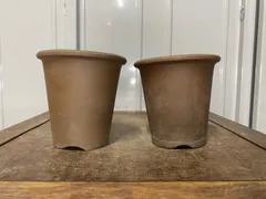 康人　山野草鉢　盆栽鉢　植木鉢　小品盆栽　多肉植物　塊根植物 楽天市場】【10%OFFクーポン対象 〜8/17】信楽焼 植木鉢 陶器