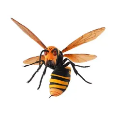 【中古】トレーディングフィギュア オオスズメバチ 「いきもの大図鑑 すずめばち」