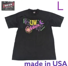 90s音系USA製古着プリントTシャツ半袖Ｌブラックフルーツオブザルームシングル　swh0300