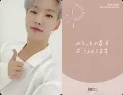 【中古】コレクションカード(男性) SEVENTEEN/HOSHI(ホシ)/裏面赤・印刷メッセージ入り/CD「JAPAN 2ND SINGLE『舞い落ちる花びら(Fallin’ Flower)』(CARAT盤)」封入特典フォトカードE