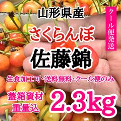 【2.3kgクール便】山形県産 さくらんぼ 佐藤錦 2.3kg 生食加工可