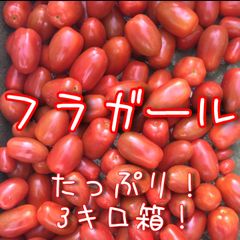 濃蜜クリスピー！フラガール！フルーツトマト🍅たっぷり3キロ！農家👨‍🌾直送！🚚メルカリ便80サイズ！