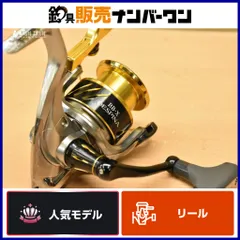 2025年最新】16BB-X デスピナ C3000DXGの人気アイテム - メルカリ