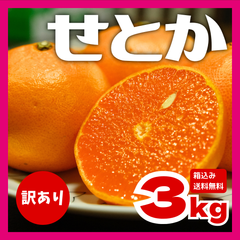 【訳ありみかん】長崎県産せとか 産地直送 箱込約3kg 送料無料