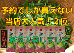 新茶入荷しました!!!全国 送料無料  新茶 八十八夜 母の日 お茶 緑茶 健康  訳あり 美味しい水出しも作れます 知覧茶あらづくり　100ｇ✕6袋 メール便ギフト