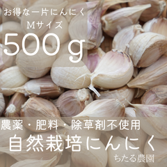 自然栽培にんにく お得なバラ片 1kg