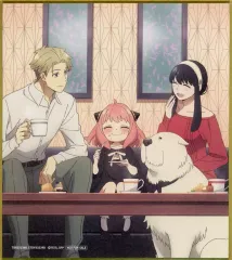 【中古】紙製品 集合 描き下ろし特製ミニ色紙 「Blu-ray/DVD SPY×FAMILY Season2 Vol.3」 初回生産限定特典