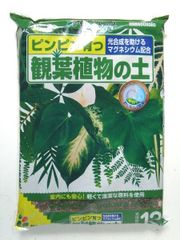 観葉植物 土　１２Ｌ    植え替え 大型 土 室内 苗 大容量 国産 培養土 テーブルヤシ ウンベラータ モンステラ パキラ