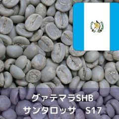 コーヒー生豆 グァテマラSHB サンタロッサ S17 Qグレード 1kg