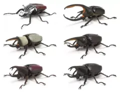 【中古】トレーディングフィギュア 全6種セット 「いきもの大図鑑 かぶとむし03」