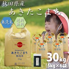 令和4年産 あきたこまち 無洗米 30kg(5kg×6袋) お米 秋田県産