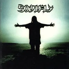 2024年最新】中古 Soulfly ソウルフライの人気アイテム - メルカリ