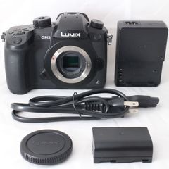 LUMIX GH5 美品 ☆良品・ショット数22490☆ Panasonic LUMIX GH5 ボディ