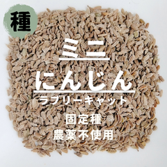 【種】ミニにんじん　ラブリーキャロット　農薬不使用　200粒