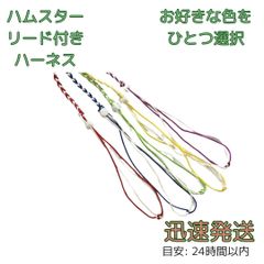 Item thumbnail for item fedab0d5-225e-4251-877c-883df7caba64