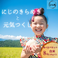にじのきらめき と 元気つくし 8kg 4kg×2袋 白米 6年産 お米 おまけ付き お得なセット商品