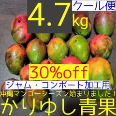 〈30%off〉【ジャム・コンポート加工用】沖縄県産 黄色くなった摘果/青/グリーンミニマンゴー約4.7kg【クール便】③