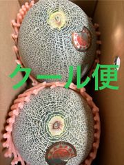 タカミレッドメロン 5Lサイズ 2個 箱込4キロ程度 千葉県産