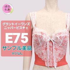 グラントイーワンズ　ニッパービスチェ　E75　美品