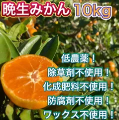 和歌山県産　下津　みかん　晩生　10kg