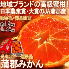 蒲郡みかん 温室栽培 約1.2kg 9～15玉 愛知県産 贈答規格 化粧箱入り 光センサー選果 日本農業賞で最優秀賞の蜜柑産地！ギフト最適な地域ブランドの温州ミカン