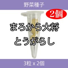 野菜種子 TVK03 まろから大将とうがらし 3粒 x 2個