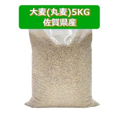佐賀県産大麦5KG　ブラウティア　やせ菌増やす　食物繊維　米　送料込み