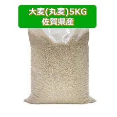 佐賀県産大麦5KG　ブラウティア　やせ菌増やす　食物繊維　米　送料込み