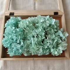 プリザーブドフラワー アジサイ 約12g (ティファニーブルー) MCN 未使用品 ひめあじさい 紫陽花 ヘッド