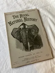 2025年最新】洋書 アンティークの人気アイテム - メルカリ