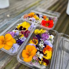エディブルフラワー　食用花　3パック　クール便