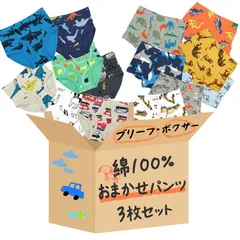 ブリーフパンツ 綿100% 3枚セット 前開き 男の子 ボーイズ 男児 子供 福袋 かわいい かっこいい 車 乗物 動物 恐竜 虫 プリント 下着 コットン b001