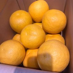2箱❌約7．5キロ爆買い