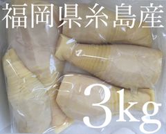 福岡県糸島産 朝採り たけのこ水煮 真空パック 3キロ以上 - メルカリ