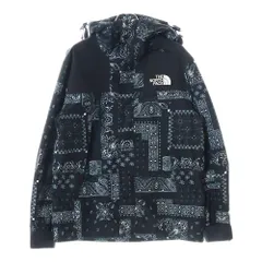 THE NORTH FACE (ザノースフェイス) NOVELTY GTX MOUNTAIN JACKET GORE-TEX ゴアテックス ペイズリー柄 ノベルティ マウンテンジャケット ブラック NJ2GN60A