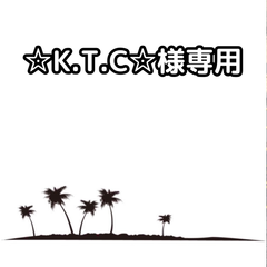☆K.T.C☆様専用【抜き苗】サバル　パルメット　sabal palmetto 10本　2024年１２月１１日更新