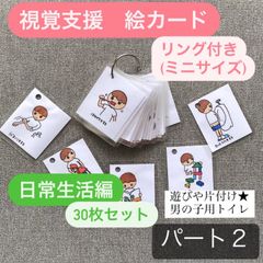 未使用　家庭保育園　絵カード、脳活性化カード、マグネットセット 未使用 家庭保育園 絵カード、脳活性化カード、マグネットセット 未