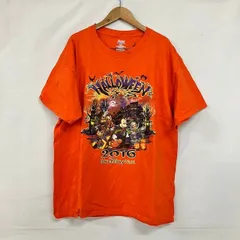 70s ディズニー ヴィンテージ ヘインズボディ 染み込みプリント Tシャツ M c89323defd9d205521ffee9066d63d