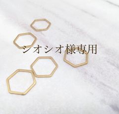 シオシオ様専用