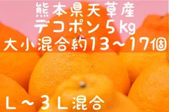 【送料無料】 熊本県 天草産 デコポン 不知火 5kg ・産地直送(^^)のサムネイル