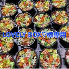 LOVELY BOX♡様専用