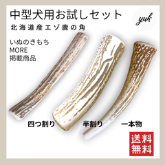 【匿名配送】中型犬用お試し3本セット　四つ割り＆半割り＆一本物　北海道産エゾ鹿の角　鹿の骨　D