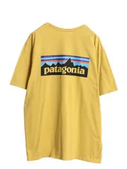 【お得なクーポン配布中!】 パタゴニア 両面 プリント 半袖 Tシャツ メンズ XL  21年製 アウトドア P6 バックプリント ボックスロゴ カットソー 大きいサイズ シンプル