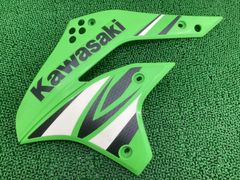 KLX250 外装セットLX250S FIモデル用林道、塗装用ベースなどに - メルカリ
