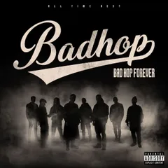 BAD HOP / BAD HOP FOREVER (ALL TIME BEST) -重量盤- (+オリジナル・スリップマット2種)[4LP]のサムネイル
