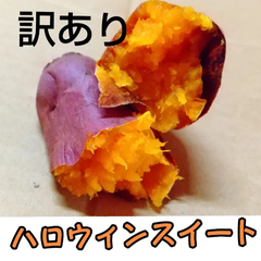ハロウィンスイート 2024年産 完売