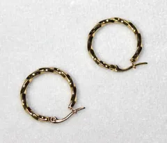 316L 医療用合金 の ツイスト・ フープピアス 20mm (GC)