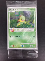 ポケモンカード ドダイトスx ドダイトス ハヤシガメ ナエトル 1ed ポケモンカード ナエトル ハヤシガメ ドダイトス 1ed マークなし Vrm Mx