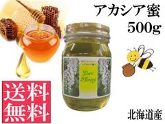 アカシア蜜500g 非加熱 生はちみつ 国産 純粋 送料無料