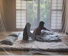 Item thumbnail for item b7ae9c62-8f90-4b28-b5f8-26dbbf3088df